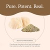 Real Mushrooms Real Mushrooms Lions Mane Capsules - Organic Mushroom