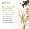 Aura Cacia Suero restaurador de rosa mosqueta orgánico, 1 fl