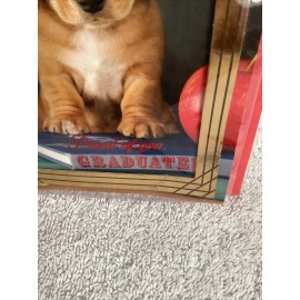 Viola NEW VOiLa Graduation Card - So Proud Of You Graduate - Envelope Included! Sealed