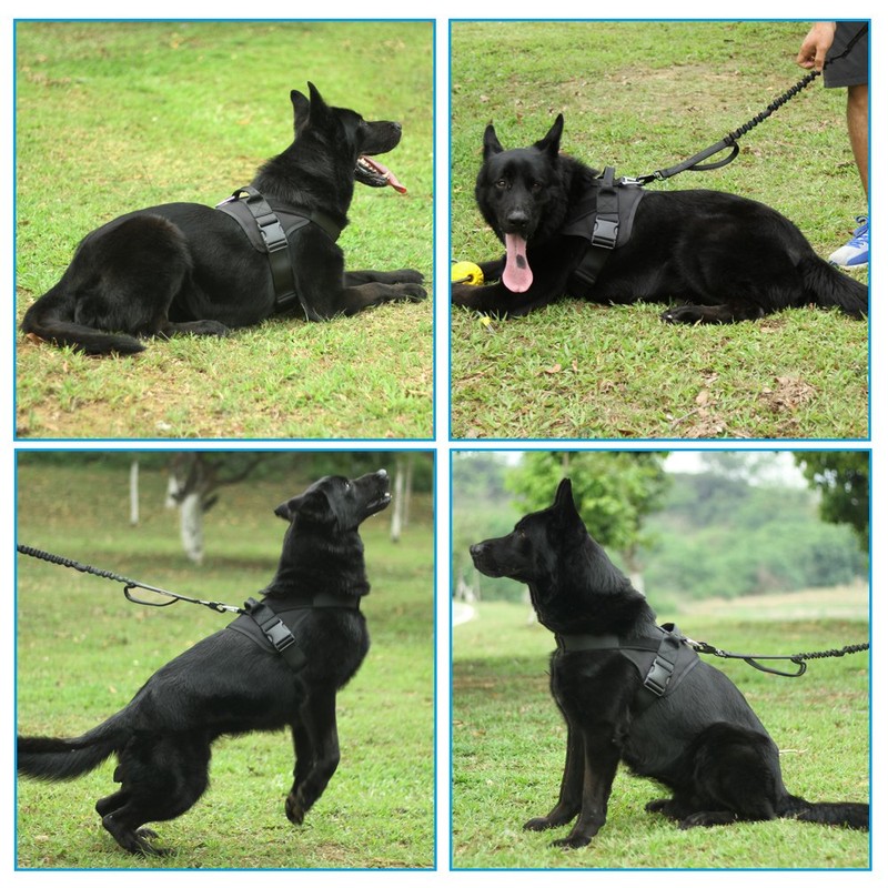 Excellent Elite Spanker Dog Harness, Military Nylon Harness, for Large