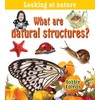 What are natural structures?