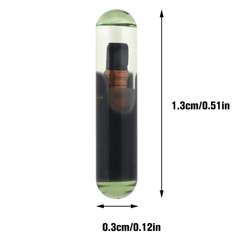 Be In Your Mind Car Key Fob Chip Transponder ID48