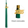 GraduationMall Matte Graduation Gown Cap Tassel Set 2021 for High