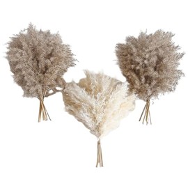 TAKAGI Pampas Decorativas, 30 Piezas (20 Flores Artificiales Color Natural de 45 cm y 10 Flores Secas Blancas de 45 cm), Adecuadas para Decoración de Mesa de Comedor