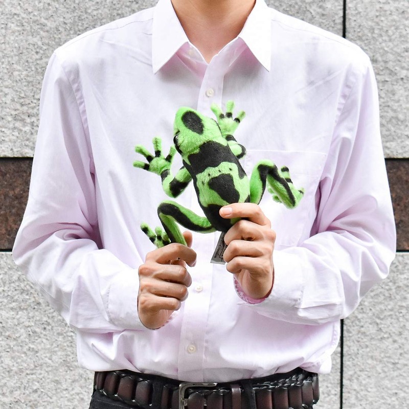 Green Yadokugaeru No.5224