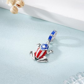 Zunxinsan Puerto Rico Souvenirs Charm 925 Sterling Silver Coqui Frog Puerto Rico Charms Puerto Rico Jewelry Gifts for Women