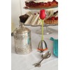 Dexam 17840979 Stainless Steel Tea Caddy Spoon,Silver