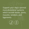 Standard Process Canine Musculoskeletal Support - Bone & Joint Health
