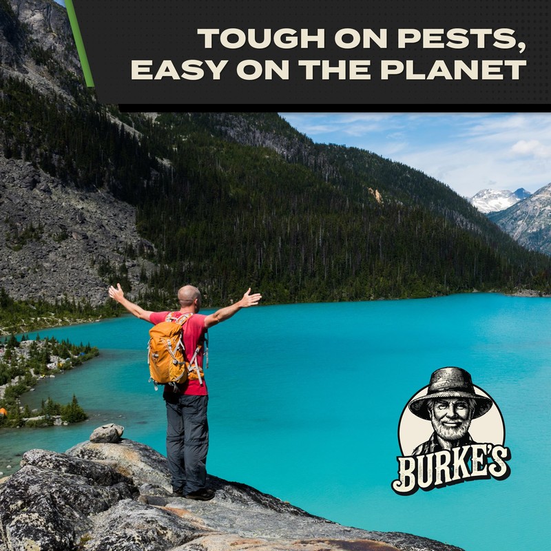 Burke's Spider Spray, Spider Repellent for Indoor & Outdoor Use,