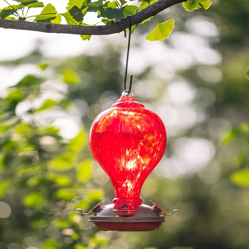LaElvish Garden Hummingbird Feeders 32OZ Glass Hummingbird Feeder, 4 Perch