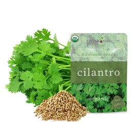 Environet Organic Cilantro Seeds Pack – 1/4 OZ Pack, Non-GMO, Heirloom, High-Germination, Fresh & Flavorful Herb for Cooking, Garnishing & Gardening