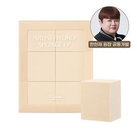 Picasso 피카소 아티스트 하이드로 스펀지 6P Picasso Artist Hydro Sponge 6P
