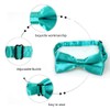 Alizeal Boys Pre-tied Bow Tie Solid Color Fancy Plain Adjustable
