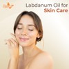 Crysalis Crysalis Labdanum (Cistus ladanifer) Oil - 8.45 Fl Oz
