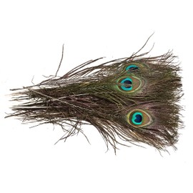 Edukit Feathers for Crafting - 16 x Peacock Feathers (25-30cm) -for Craft Feathers, Arts and Crafts, DIY Dream Catchers, Party Decoration, Hats, Easter, Bonnet, Feather