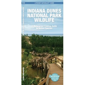 Indiana Dunes National Park Wildlife: A Folding Guide to Native Species (A Pocket Naturalist Guide)