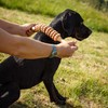 tuuli Wooden Massager Dog Cow Horse Massage Brush Pet Massage