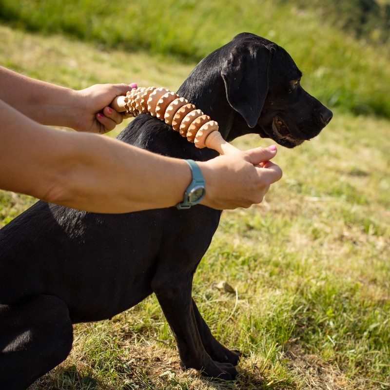 tuuli Wooden Massager Dog Cow Horse Massage Brush Pet Massage