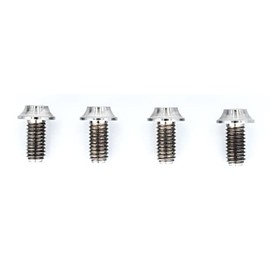 Reve D RT-020-06 M3x6mm BH Screw