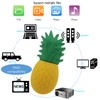 Ecoodisk 64GB USB 3.0 Flash Drive Novelty Cartoon Pineapple High