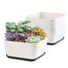 Succulent Pots 6 Inch Shallow Herb Planters with Drainage Hole