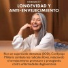 Cordyceps Militaris Newmanity 300 Caps Sin Sabor