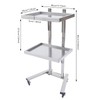 HETEPPTR 2-Tier Metal Salon Rolling Cart Stainless Steel Beauty Spa