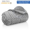 Kids Weighted Blanket Twin 7lbs (41"×60",Gray) Breathable Soft Minky Weighted