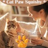 2 PCS Squishy Cat Paw and 1 Box Mini Cat
