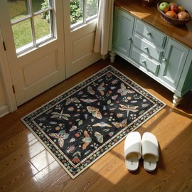 Lahome Insect Washable Rug, 2x3 Kitchen Rugs for Entryway Bathroom, Soft Door Mat Indoor Entrance Ultra-Thin, Small Non-Slip Throw Carpet for Bedroom Entry, Black