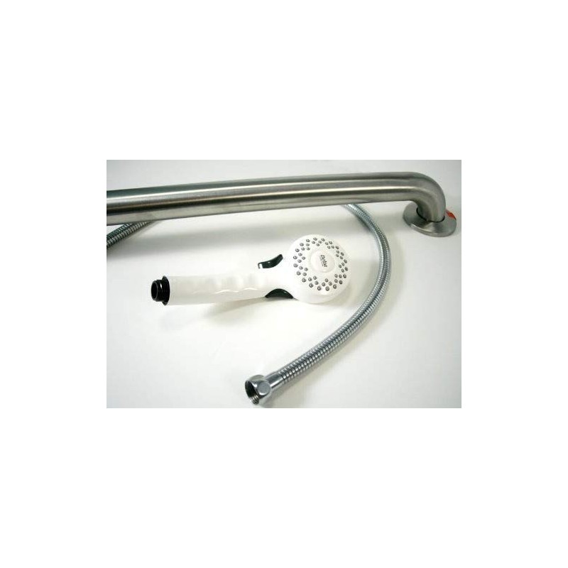 Delta Faucet RPW124HDF Single Function Handshower with Grab Bar
