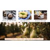 Amish Valley Products Old Fashioned Bartlett Pear Halves Canned Pears