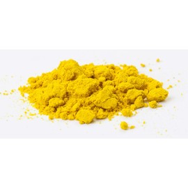 屋久島 Spring Turmeric Powder G