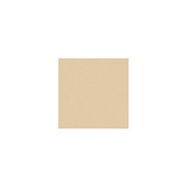 Rosco Roscolux Bastard Amber, 20x24" Color Effects Lighting Filter