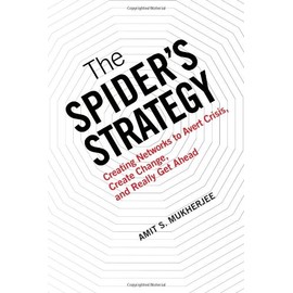 The SpiderÂs Strategy: Creating Networks to Avert Crisis, Create Change, and Really Get Ahead
