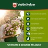 Veddelholzer 1000 ml Premium Cold Pressed 100% Natural Neem Oil