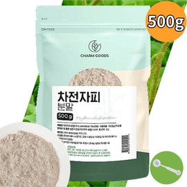 차전자피가루 차전차피 분말 차전자피식이섬유 500g Psyllium Husk Powder Psyllium Fiber 500g