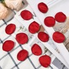 SOFPLATE 200Pcs Red Silk Flower Petals Faux Rose Petal for