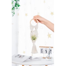 Melphoe 4 Pack Air Plants Holders Stand Air Fern Macrame Plant Hanger Indoor Hanging Planter Basket for Tillandsias Display, Boho Home Decoration Gift Idea