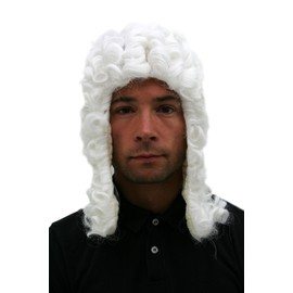 Party/Fancy Dress/Halloween WIG men women unisex WHITE baroque LORD JUDGE aristocrat PW0171-P60