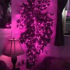 Led Strip 6 Tiras Led Decoracion Adorno Arreglos Serie Luz