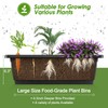 Suyncll Vertical Raised Garden Bed Planter Box,5 Tiers Vertical Garden