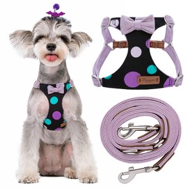 Puppytie No Pull Small Dog Harness with Multifunction Dog Leash,Lightweight Soft Adjustable No Choke Escape Proof Pet Harness Vest Pet Harness Vest,Polka dots Taro Purple,S