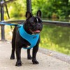 AllPetSolutions Dog Harness - Cool Pet Vest with Back D-Ring