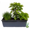 'Herb Planter for Salads 40 cm Charcoal Box of Each