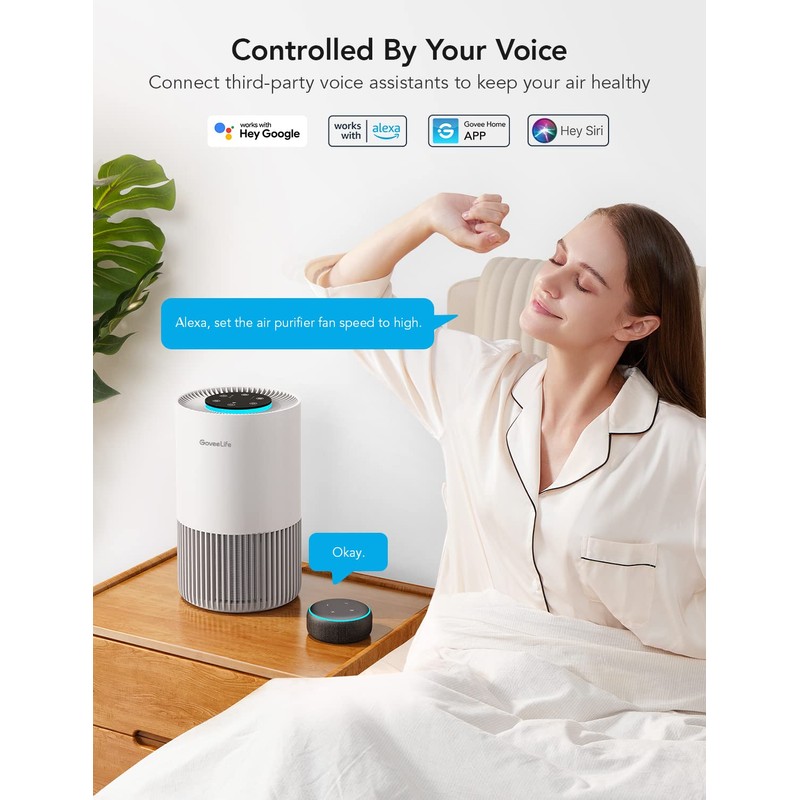 GoveeLife Air-Purifier Replacement Accessories only for H7120101, 2 Pack, H11