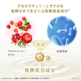 Dove Body Wash Fermentation & Beauty Series Smooth & Chunky Pump