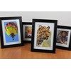 PPD Inkjet 260gsm Photo Paper Glossy Instant Dry Smudge-Proof Waterproof