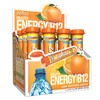 Zipfizz Daily Energy Drink Powder, Orange Soda, 12 Pack |