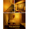 JandCase Amber Night Light[2 Pack], Night Lights Plug into Wall,